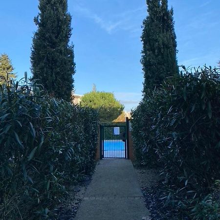 City Rose T2 Ensoleille-Piscine-Parking Prive -Fibre -Balcon Toulouse Exterior foto
